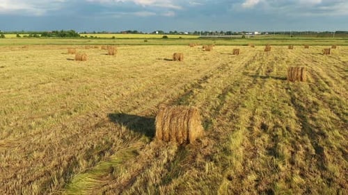 Erntezeit auf Feldern Gras Gold Runde Heuhaufen Ländliches Leben und Landwirtschaft Konzept