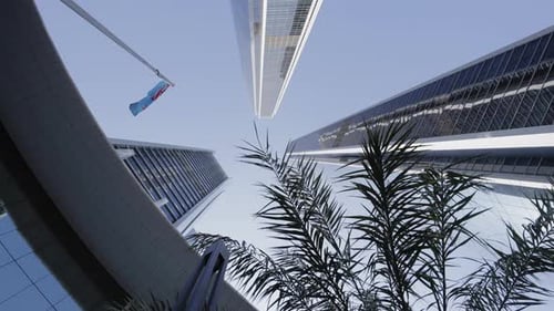 Palm Trees and Skyscrapers