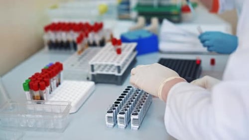 Scientists Working in a Brightly Lit Laboratory