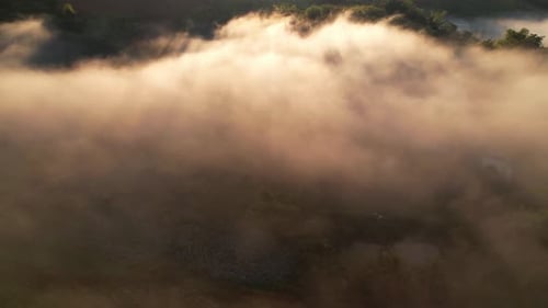 4K Aerial view of the misty sunrise in the forest.