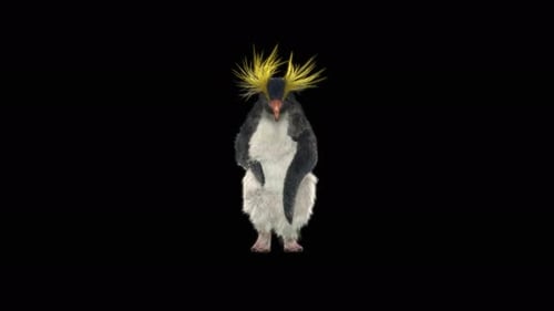 Penguin Dancing 4K