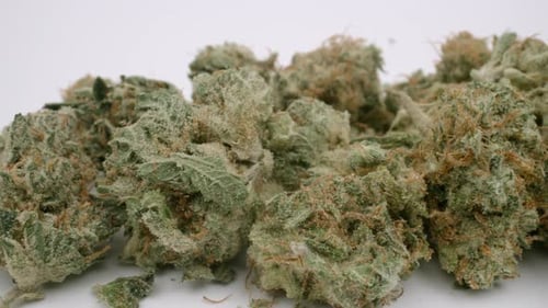 Close-up of pile of green buds