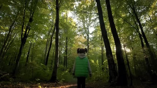 Little Girl Walking Through Tall Trees in Forest