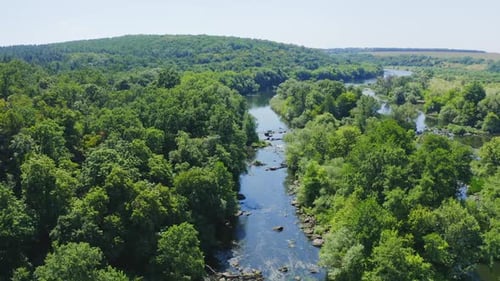Green forest. Small river captured from above with a drone. Aerial view video.