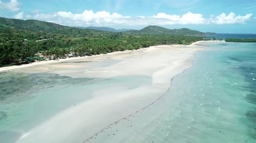 Aerial Drone Flight Over Tropical Paradise Turquoise Beach with Palm Trees