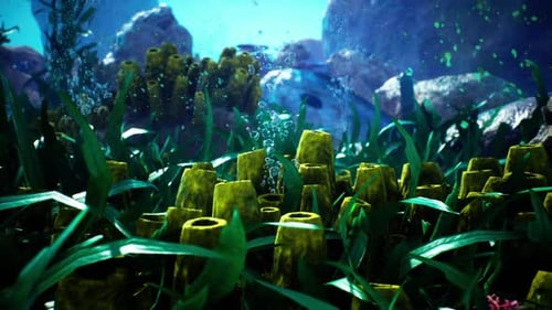 Underwater Blue Ocean 1