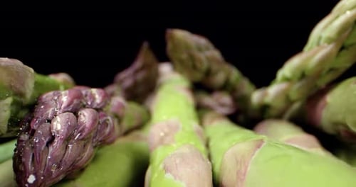 Frischer Spargel, grünes gesundes Gemüse, Supermakro, Nahaufnahme