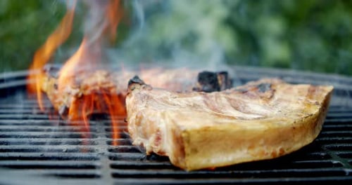 Pork Steak Cooking on a Flaming Grill