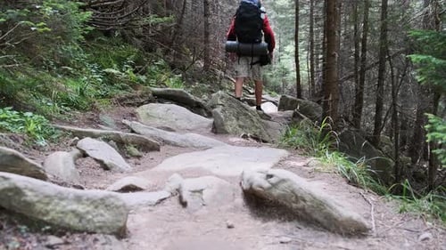 Tourist with a Backpack Climbing Up Along the Stone Mountain Trail in the Forest