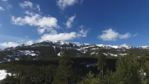 Snowy mountains and forest landscape.