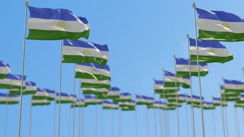 Republic of Bashkortostan Flags Waving in Clear Sky
