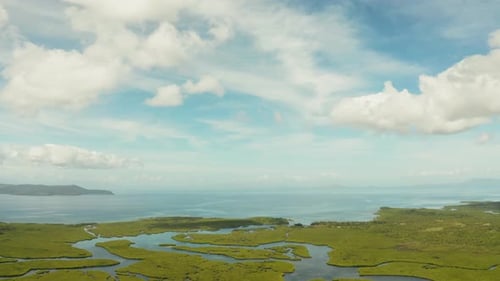 Aerial View of Mangrove Forest and River