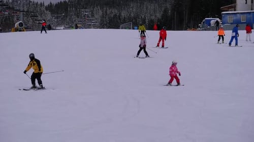 Skiers and Snowboarders Ride on a Snowy Slope at a Ski Resort in Sunny Day