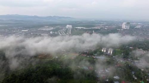 Aerial fly over the rural plantation and residential area