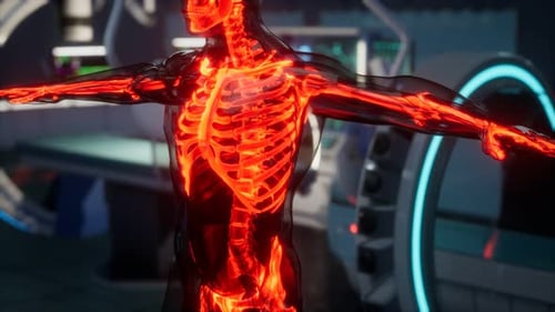 Glowing Human Skeleton and Anatomy Scan in Medical Science Lab