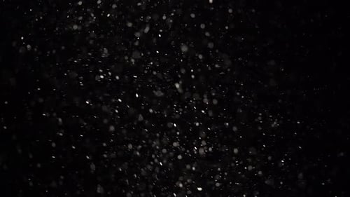 Floating Transparent Dust Particles Are Shining on a Black Background.