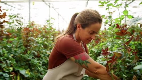Woman tending plants inside bright greenhouse