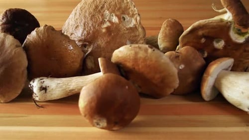 Fresh Mushrooms Displayed on Wooden Table