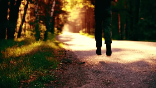 Sport Man Running at Asphalt Road. Rural City Park. Green Tree Forest and Sun Rays on Horizon.