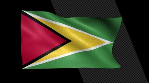 Guyana National Flag Waving Seamless Loop