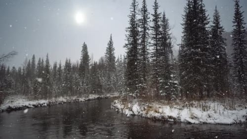 River coast covered with snow. Snowy winter park