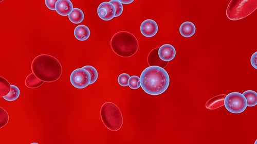 Animated Blood Cells and Oxygen Molecules Flowing Through Artery