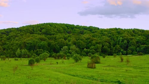 Luftaufnahme auf Spring Meadow
