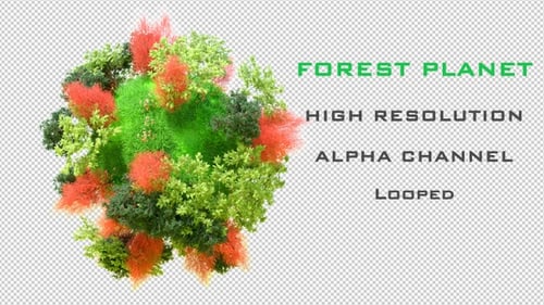Mundo forestal 4K