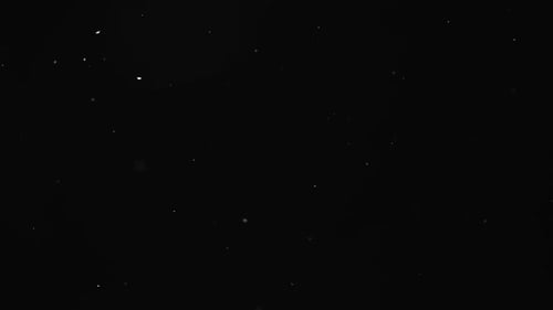 Dust Particle