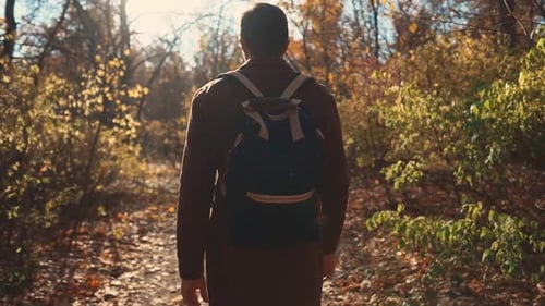 Man Takes a Stroll in Forest.