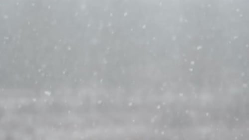 Snowflakes