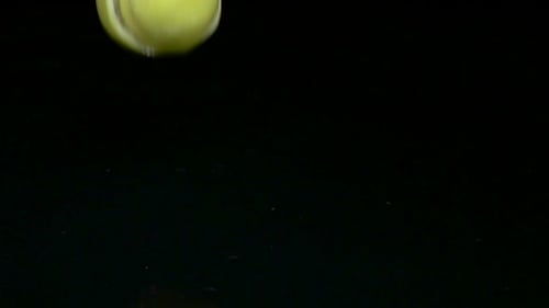 Lemon Falls Into the Water and Dissolves Into Slices. Black Background. Slow Motion