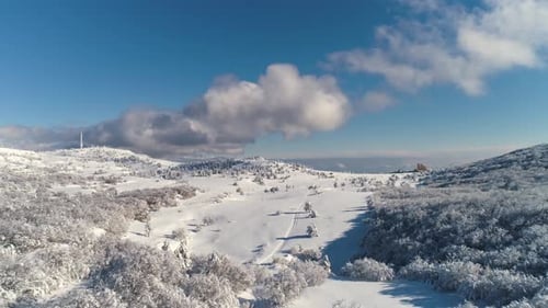 Snowy Countyside Road avec forêt et champs environnants