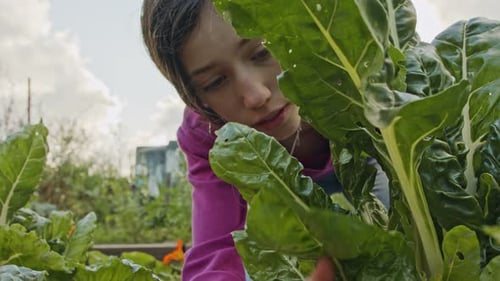 Jeune fille travaillant dans un potager biologique