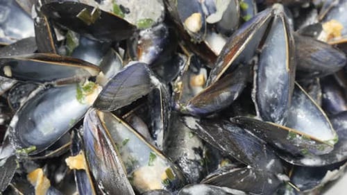 Lot of blue common mussel used and eaten food background 4K 2160p 30fps UltraHD footage - Shells of