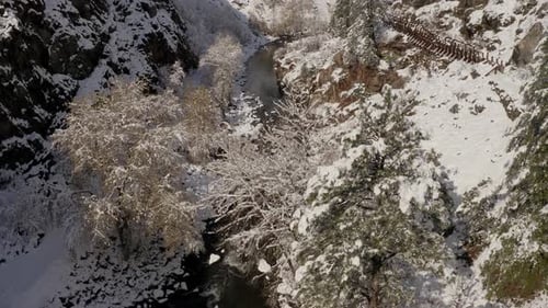 Majestic Snowy River Canyon from Above