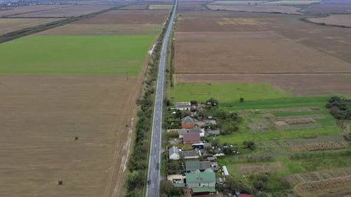 Harvesting of Wheat in Aerial View of Harvest Fields