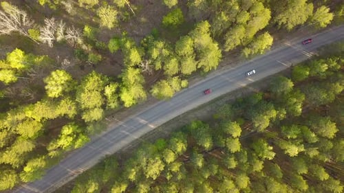 Forest Road From Above