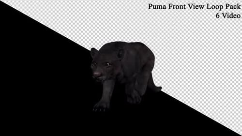 Puma Front View Loop Pack
