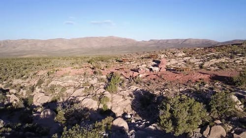 Aerial grazing horses on the desert. Wild Horses Running.