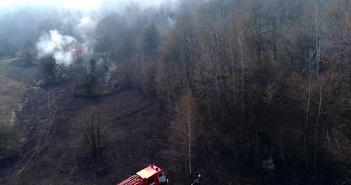 Firefighters came to extinguish the fire in the forest