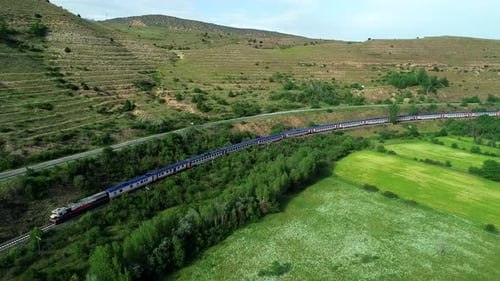 Railways Along With Trees