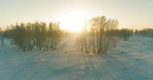 Aerial Drone View of Cold Winter Landscape with Arctic Field, Trees Covered with Frost Snow