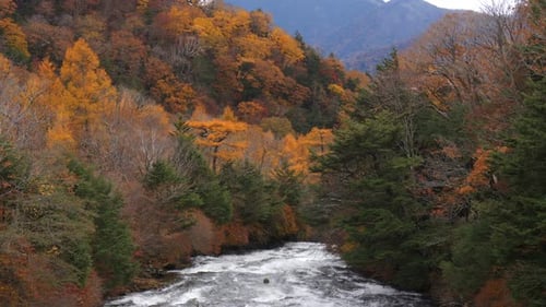 Autumn River