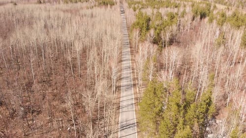 Spring Forest Road