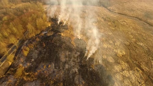 The burning field in spring, view from a drone