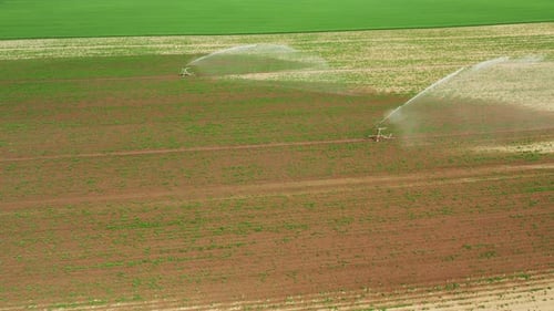 Aerial Footage of Automatic Irrigation Sprinkle Watering System in the Agriculture Field
