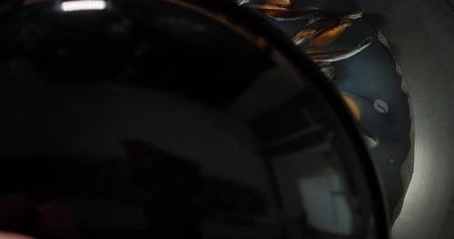 Steaming Mussels In a Pot Top Down View