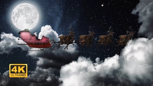 Animated Christmas Santa Sleigh with Flying Reindeer