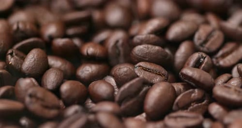 Roasted coffee bean
